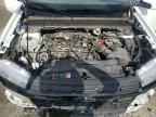 2022 FORD Maverick