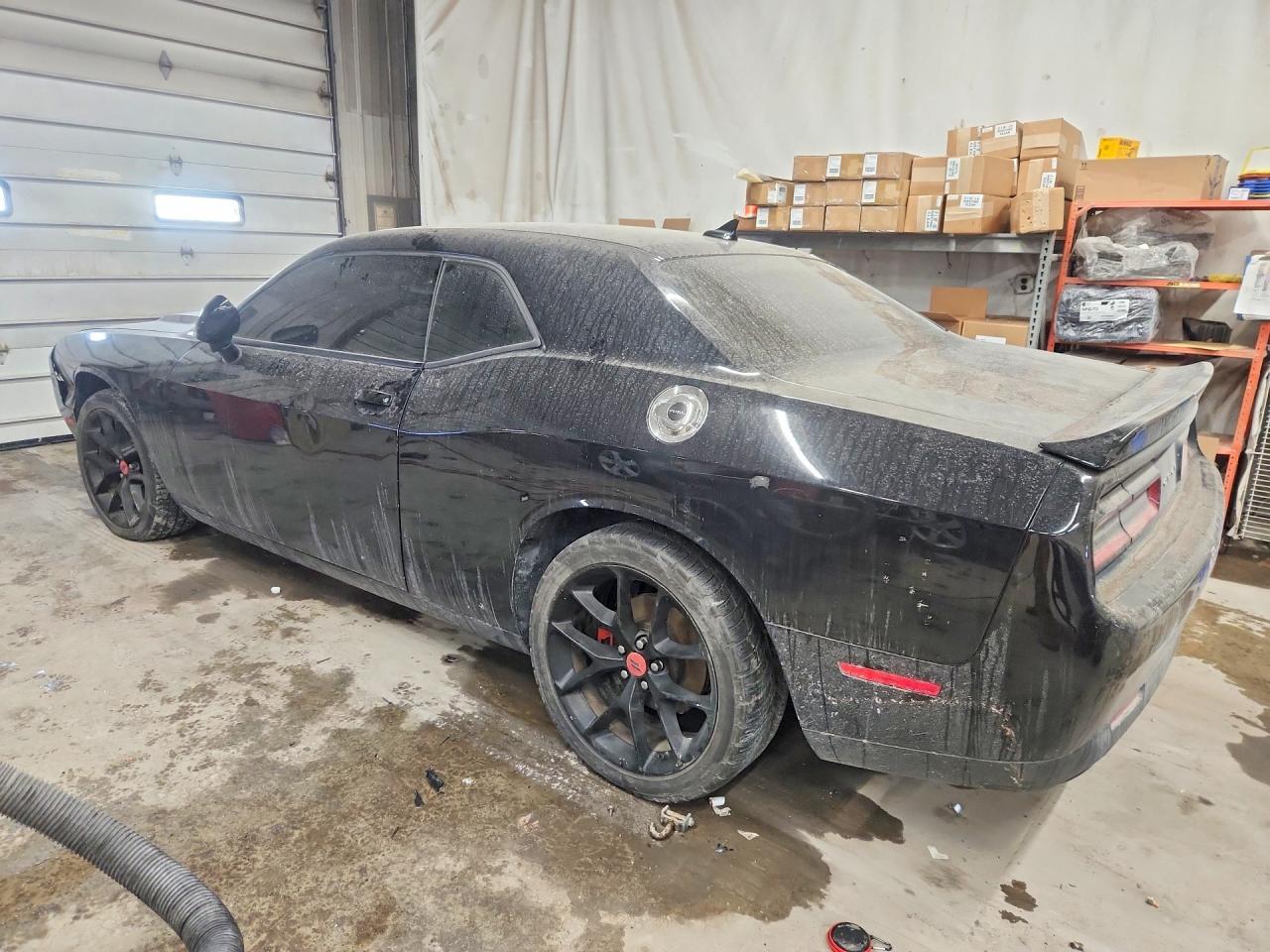 2021 DODGE Challenger