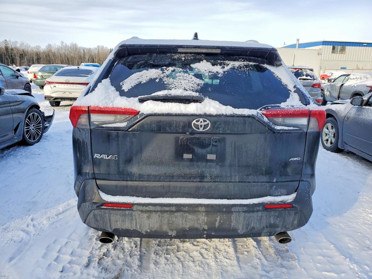 2024 TOYOTA RAV4
