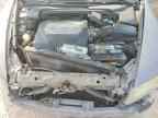 2008 ACURA TL