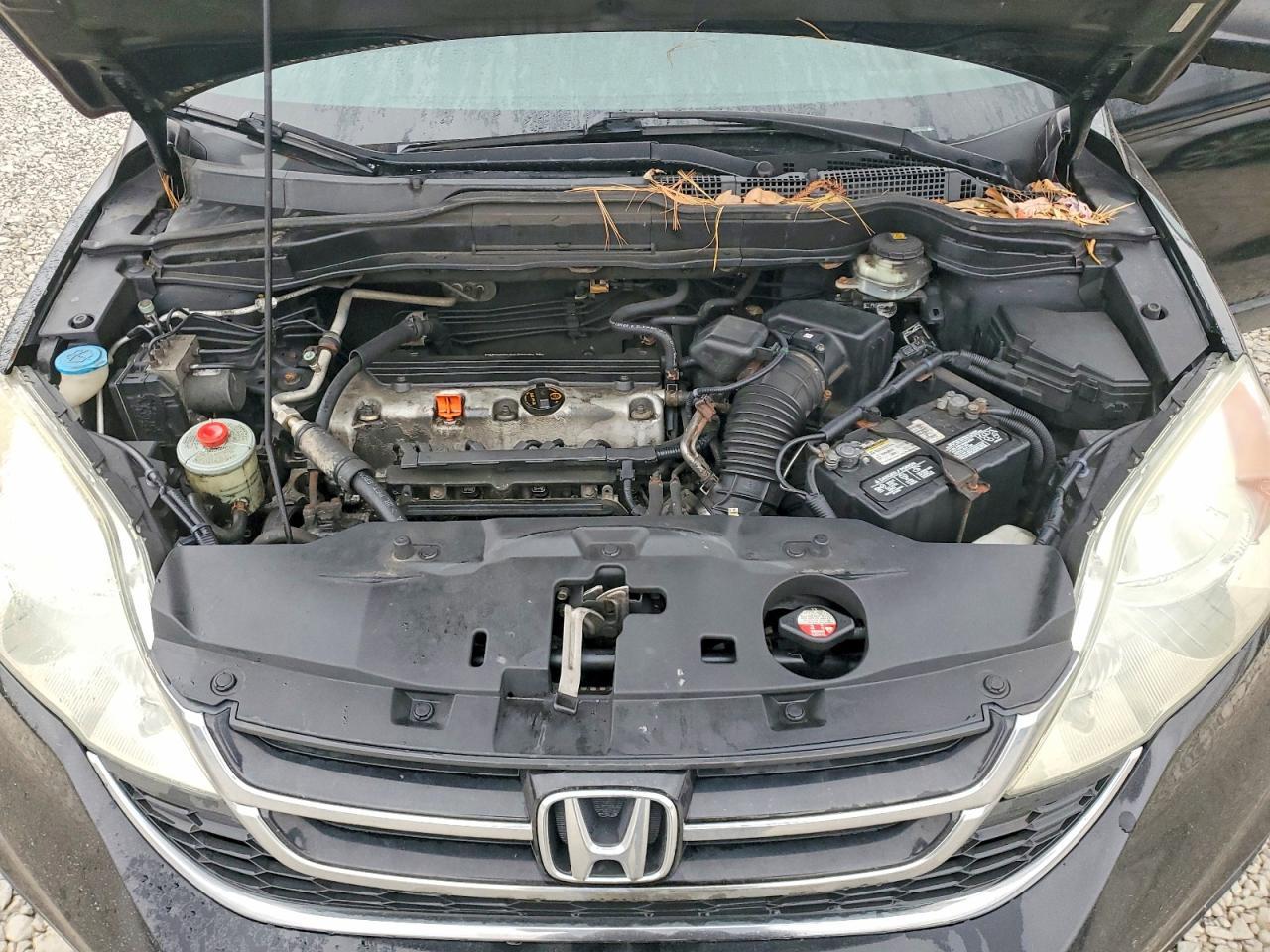 2010 HONDA CR-V