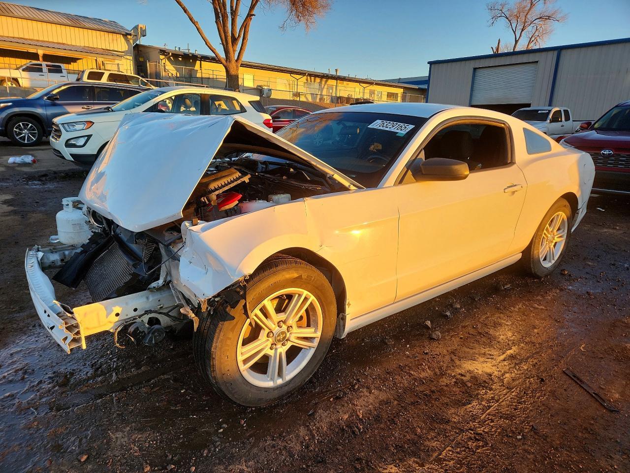 2014 FORD MUSTANG