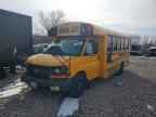 2010 Thom Minotour G3500