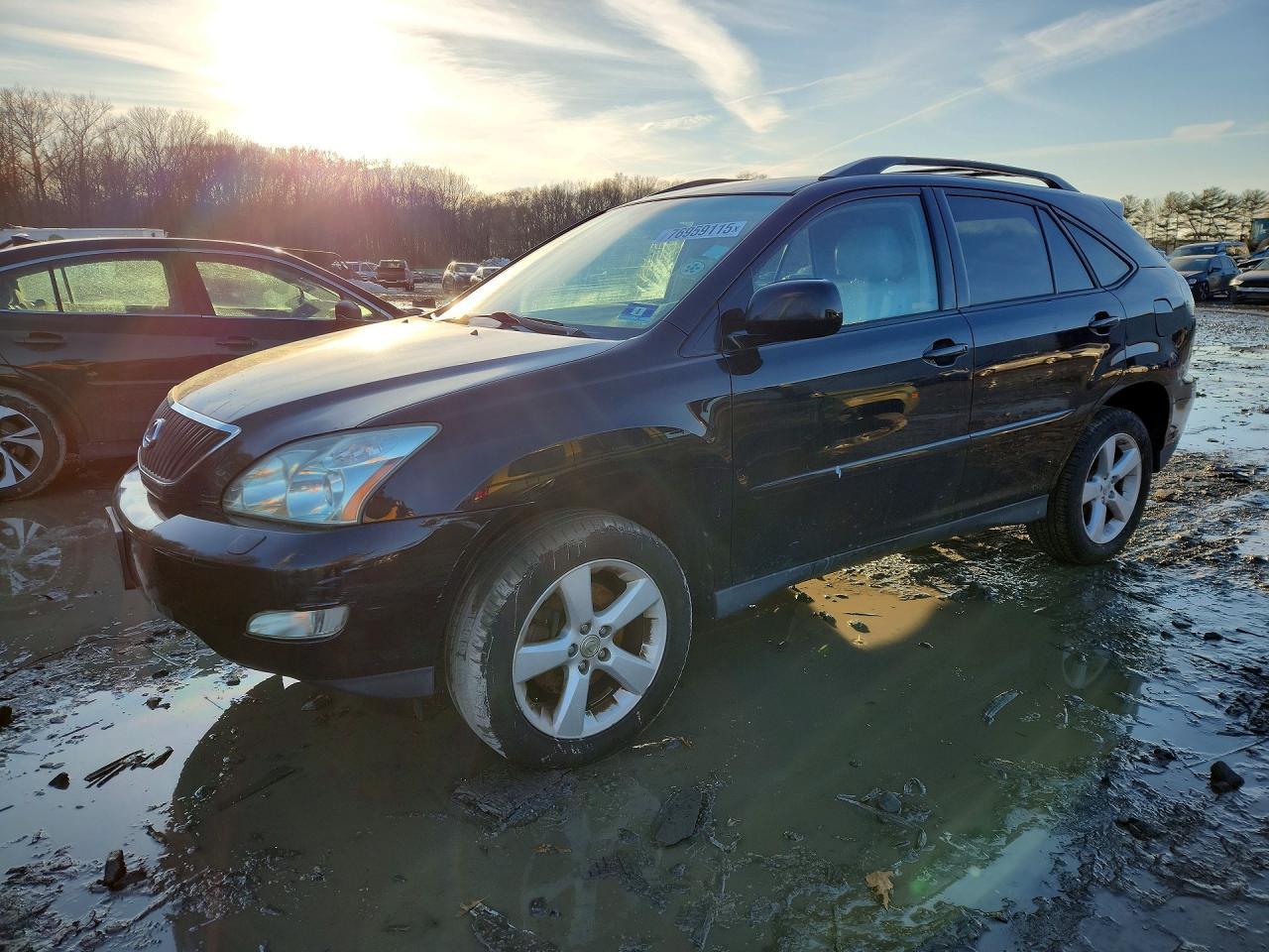 2007 LEXUS RX 350