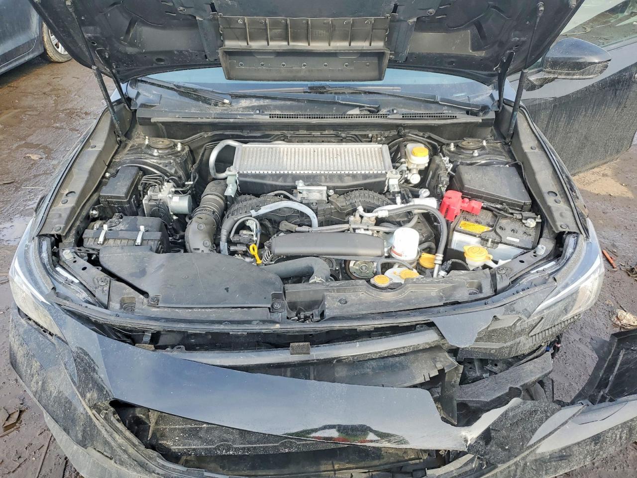 2024 SUBARU WRX