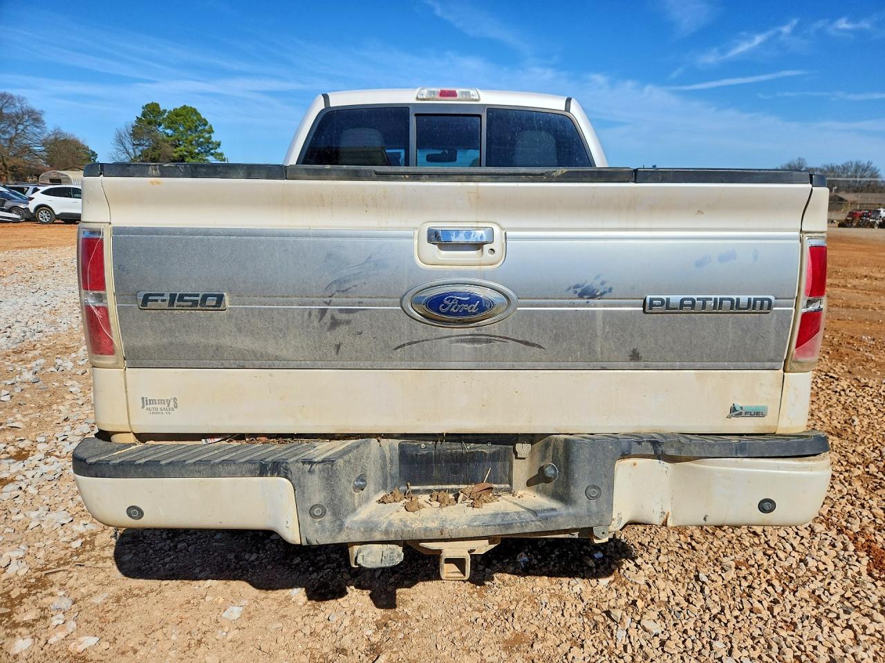2010 FORD F-150 Lightning