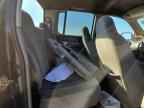 2004 DODGE Dakota