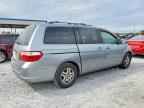 2005 HONDA ODYSSEY