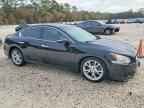 2013 NISSAN Maxima