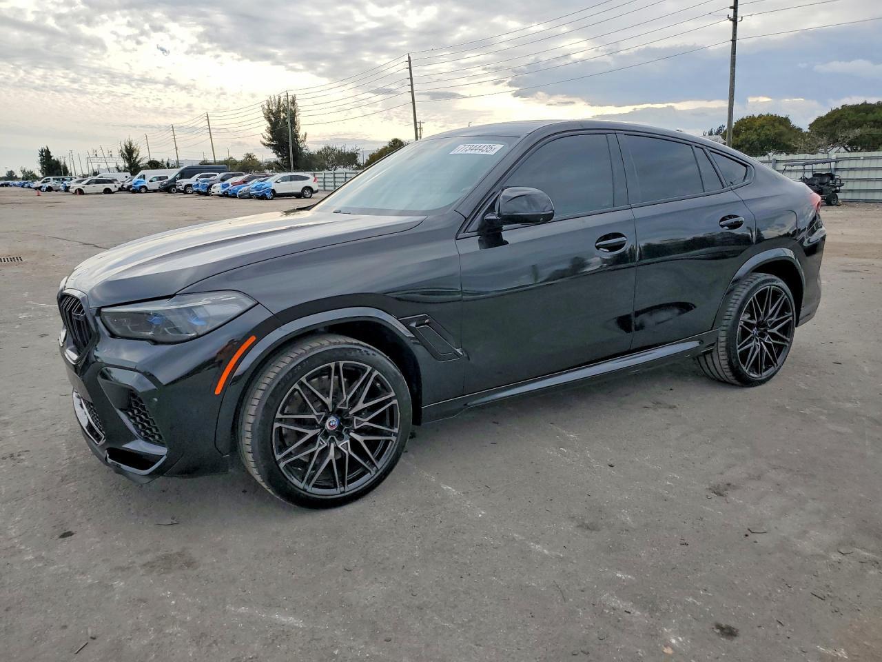2023 BMW X6