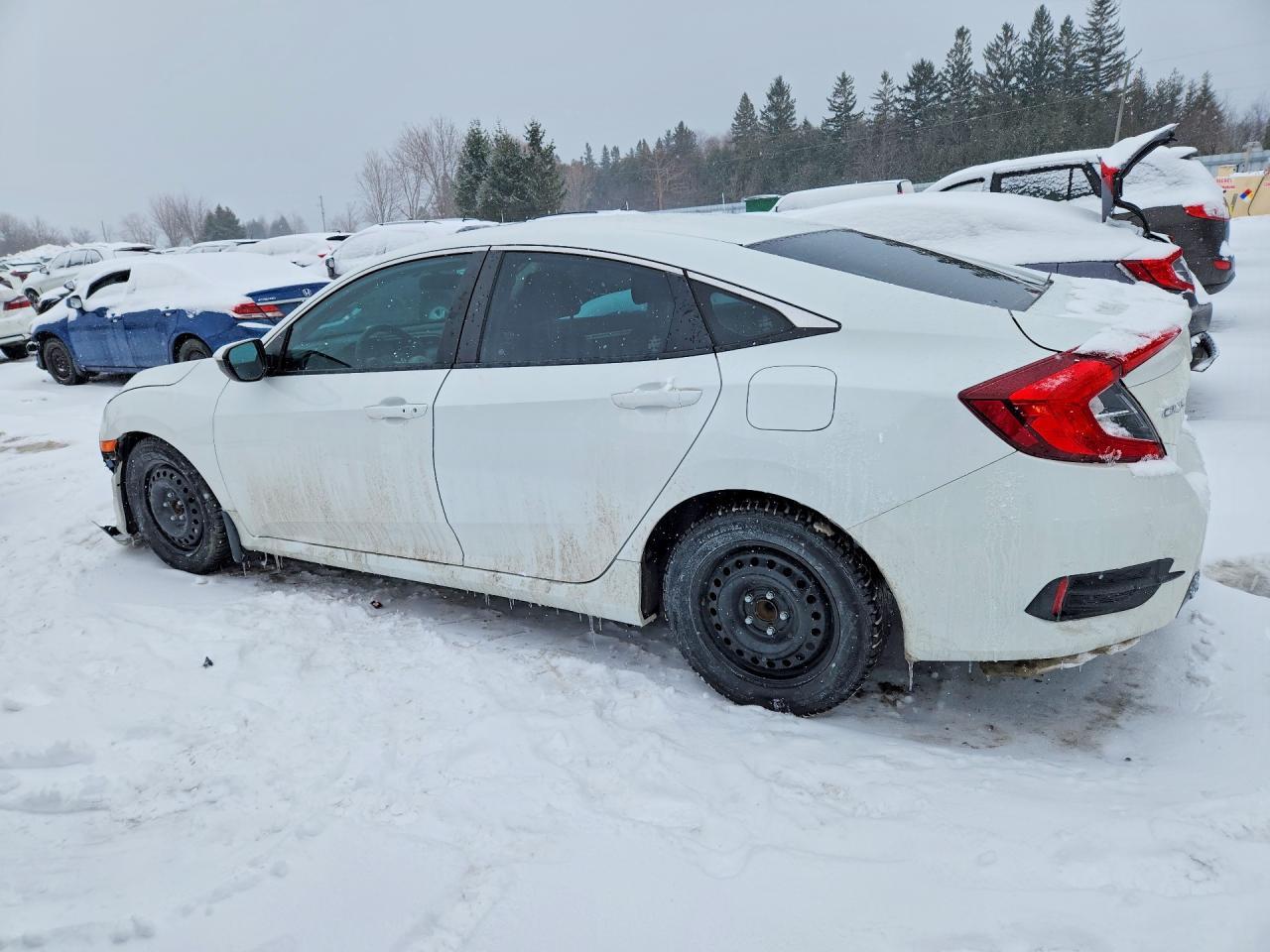 2019 HONDA CIVIC