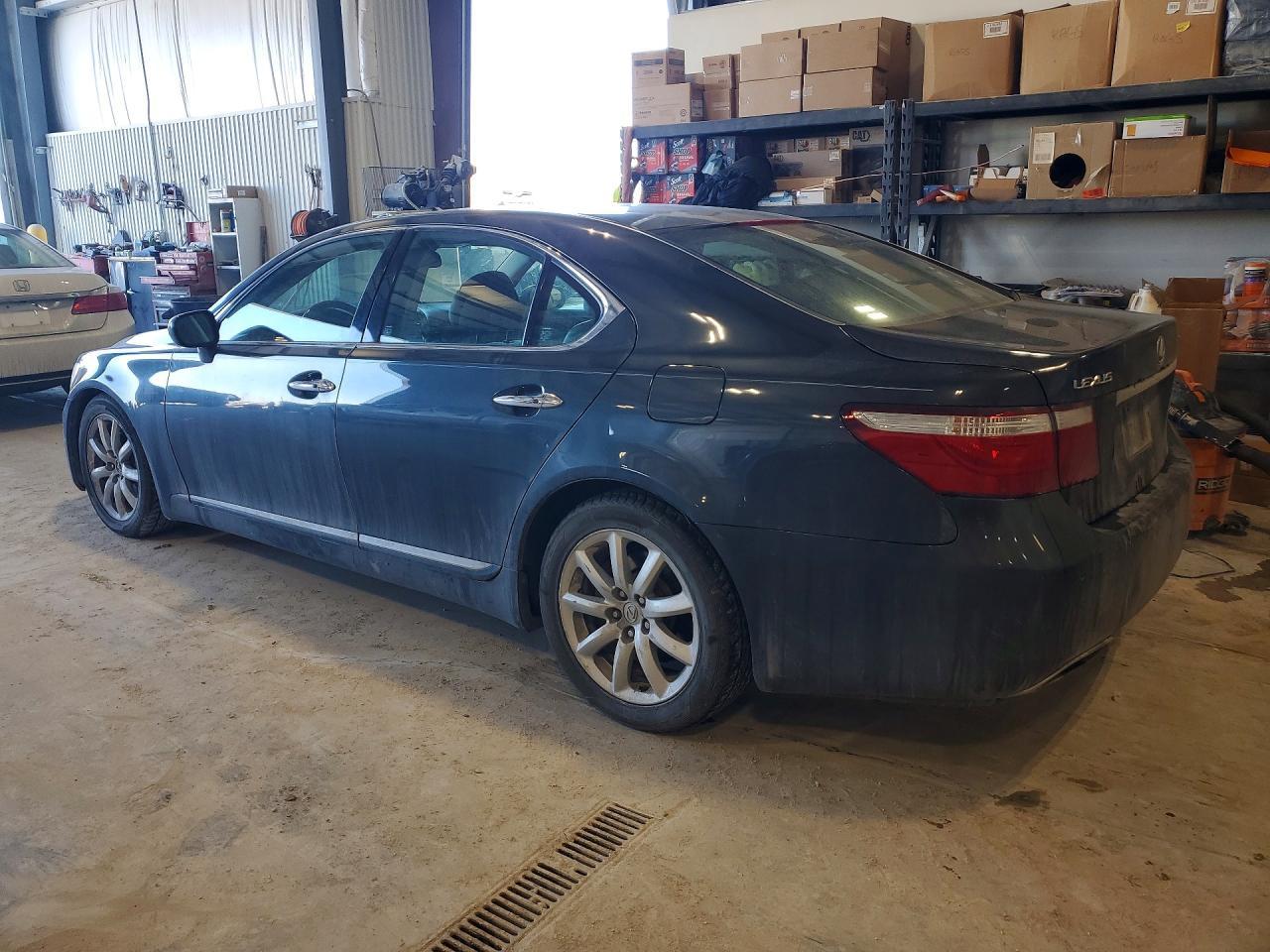 2007 LEXUS LS 460