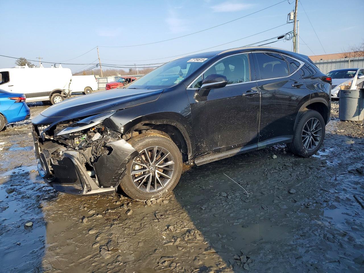2024 LEXUS NX 350