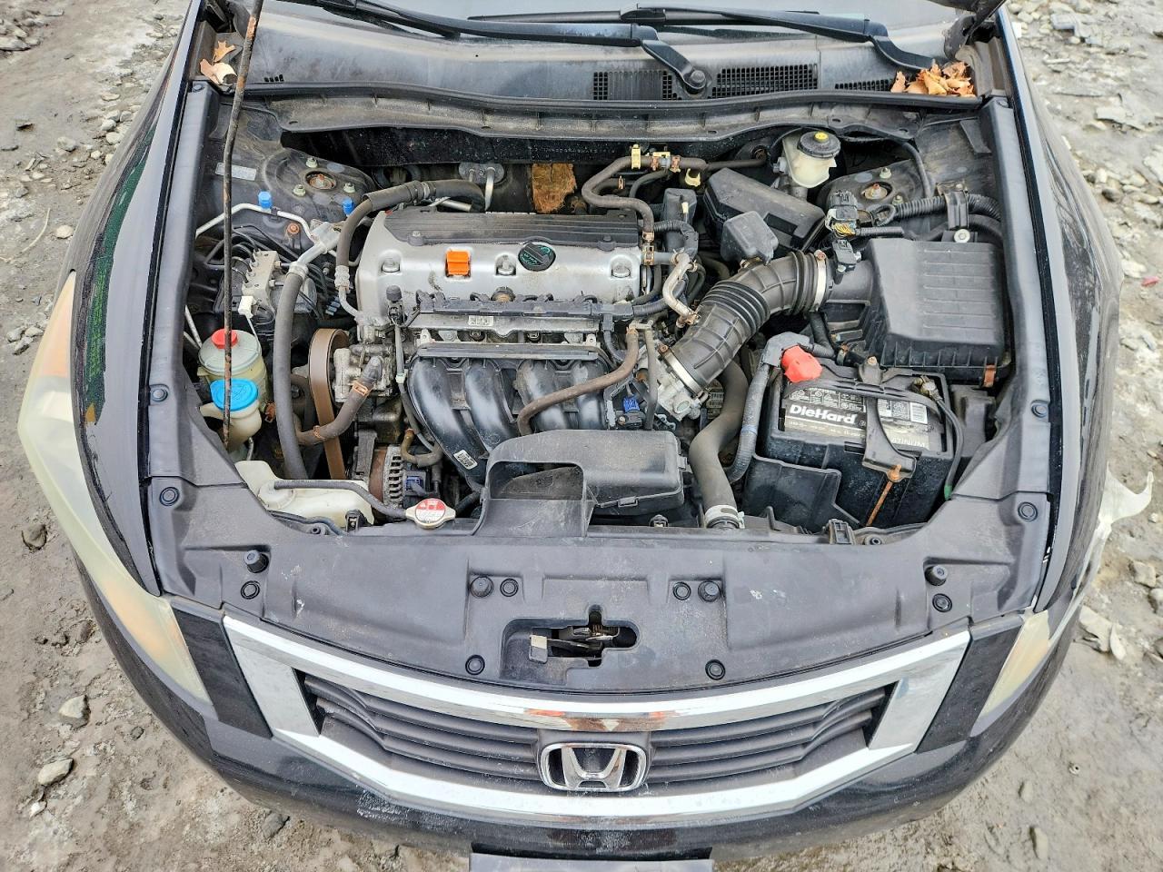 2010 HONDA ACCORD
