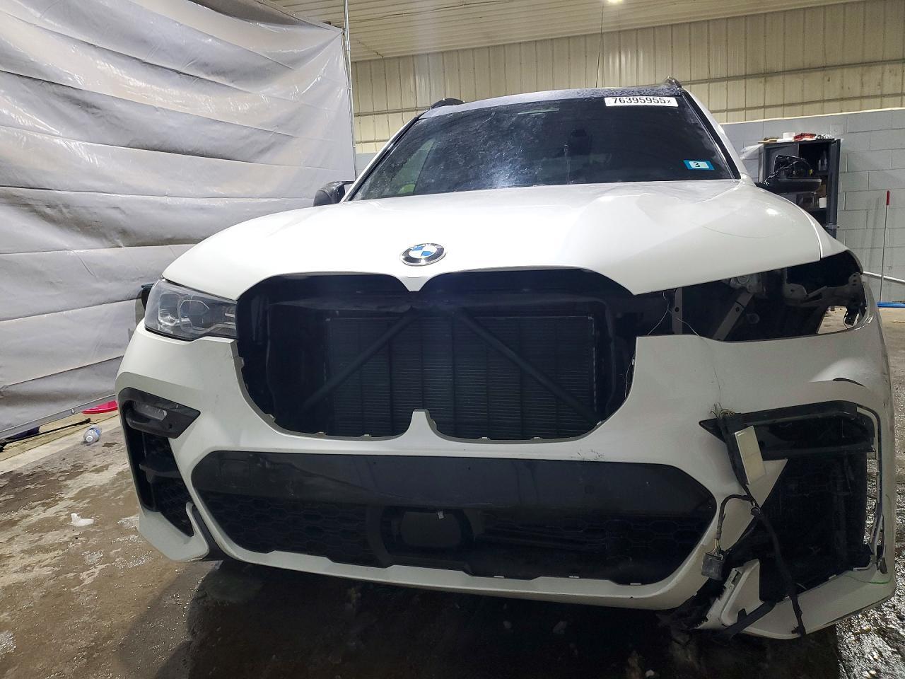 2019 BMW X7
