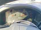 2004 FORD F-150