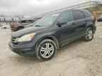 2010 HONDA CR-V