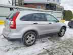 2010 HONDA CR-V