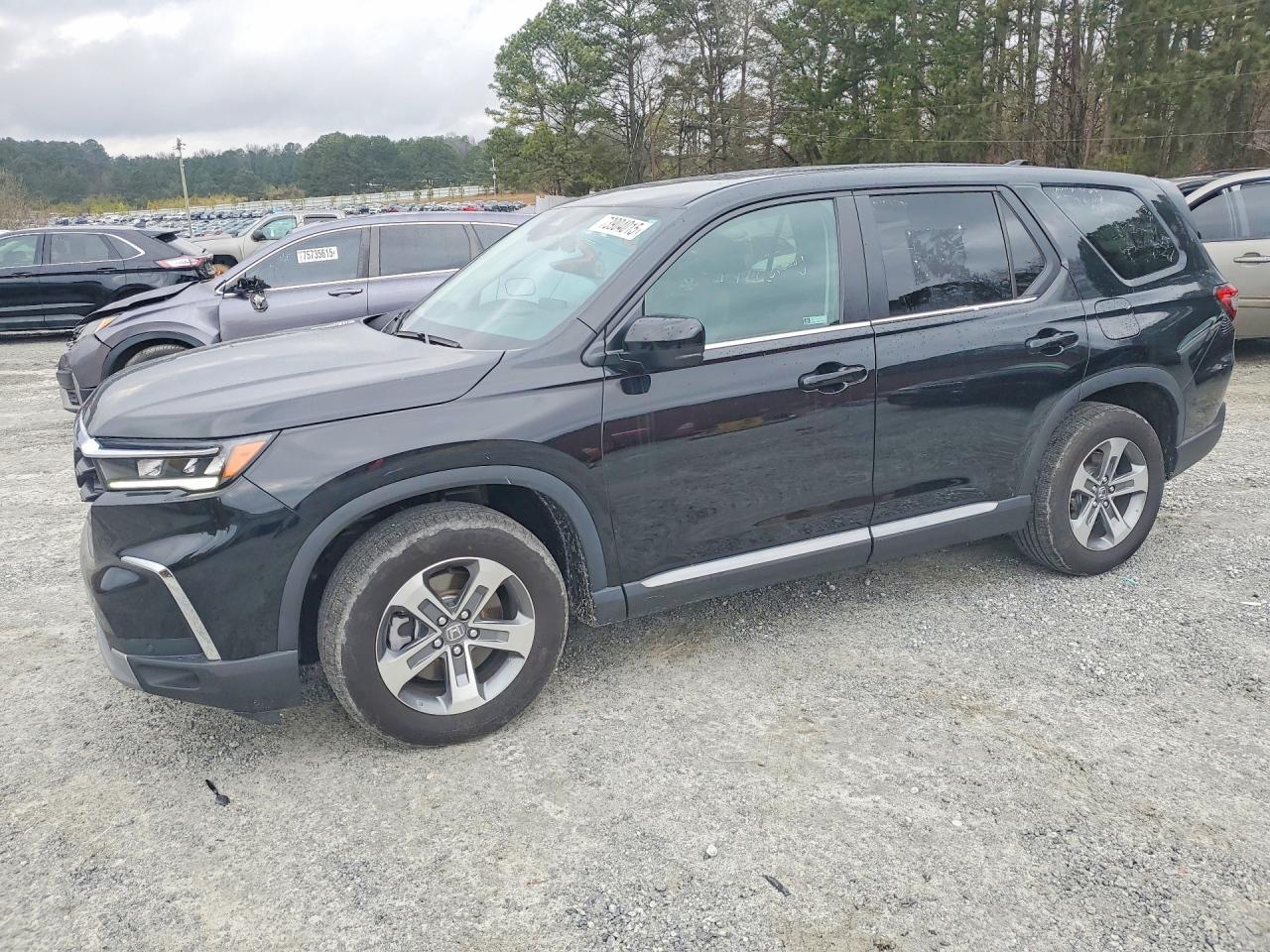 2024 HONDA PILOT