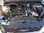 2025 FORD Maverick