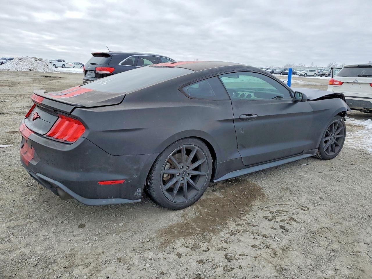 2019 FORD MUSTANG