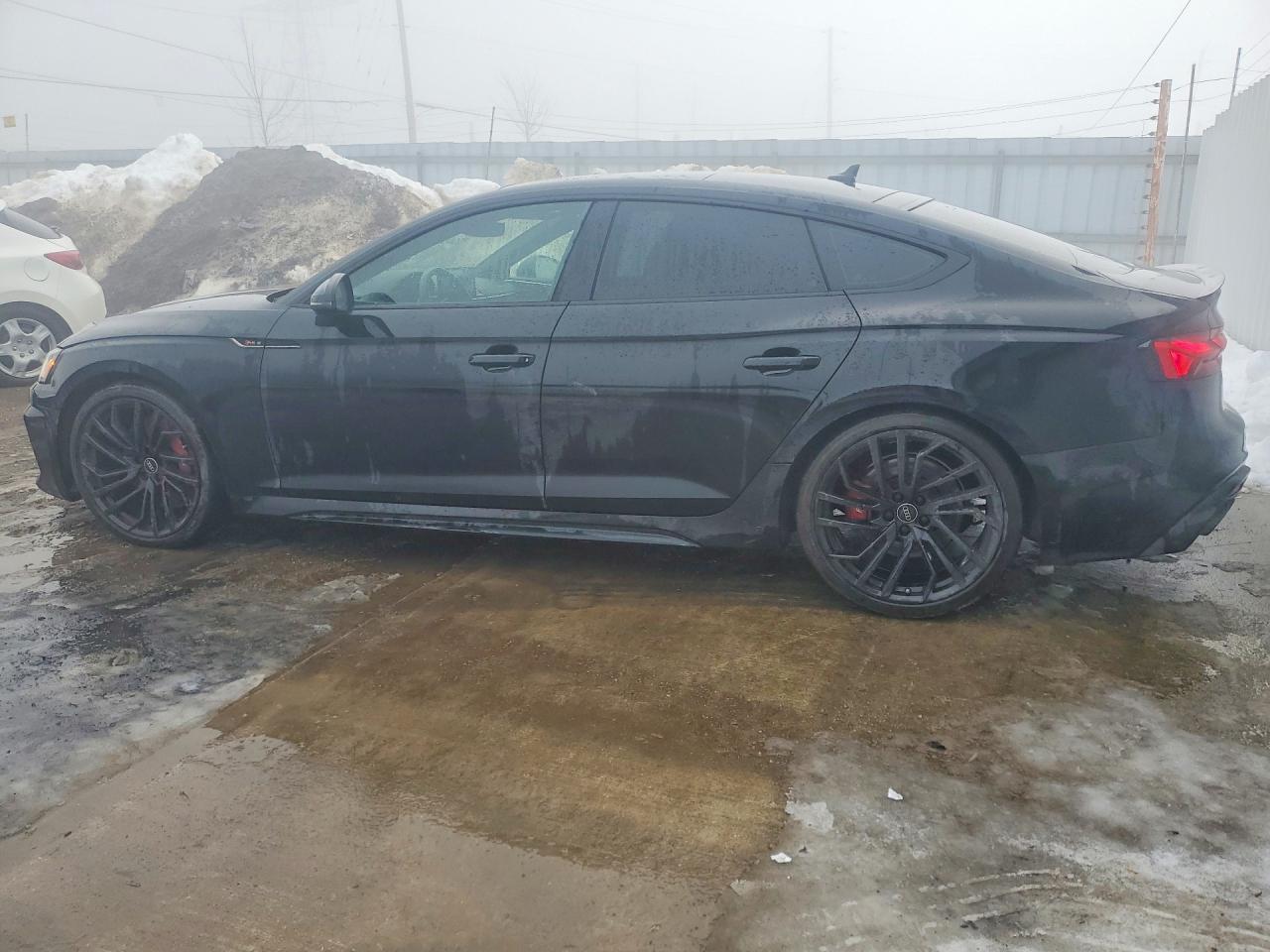 2023 AUDI RS5