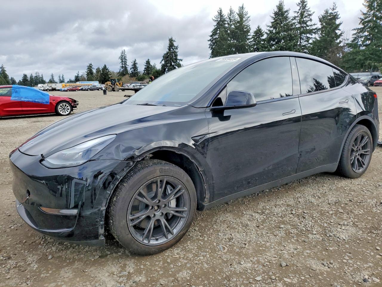 2025 TESLA MODEL Y