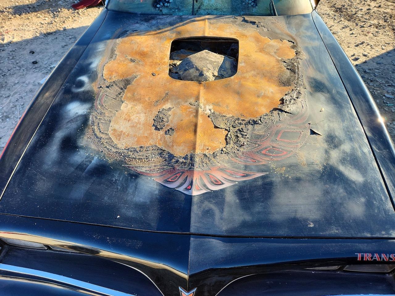 1981 PONTIAC Firebird