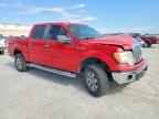 2010 FORD F-150 Lightning