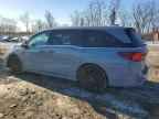 2025 HONDA ODYSSEY