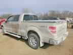 2014 FORD F-150 Lightning