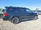 2005 TOYOTA Sequoia