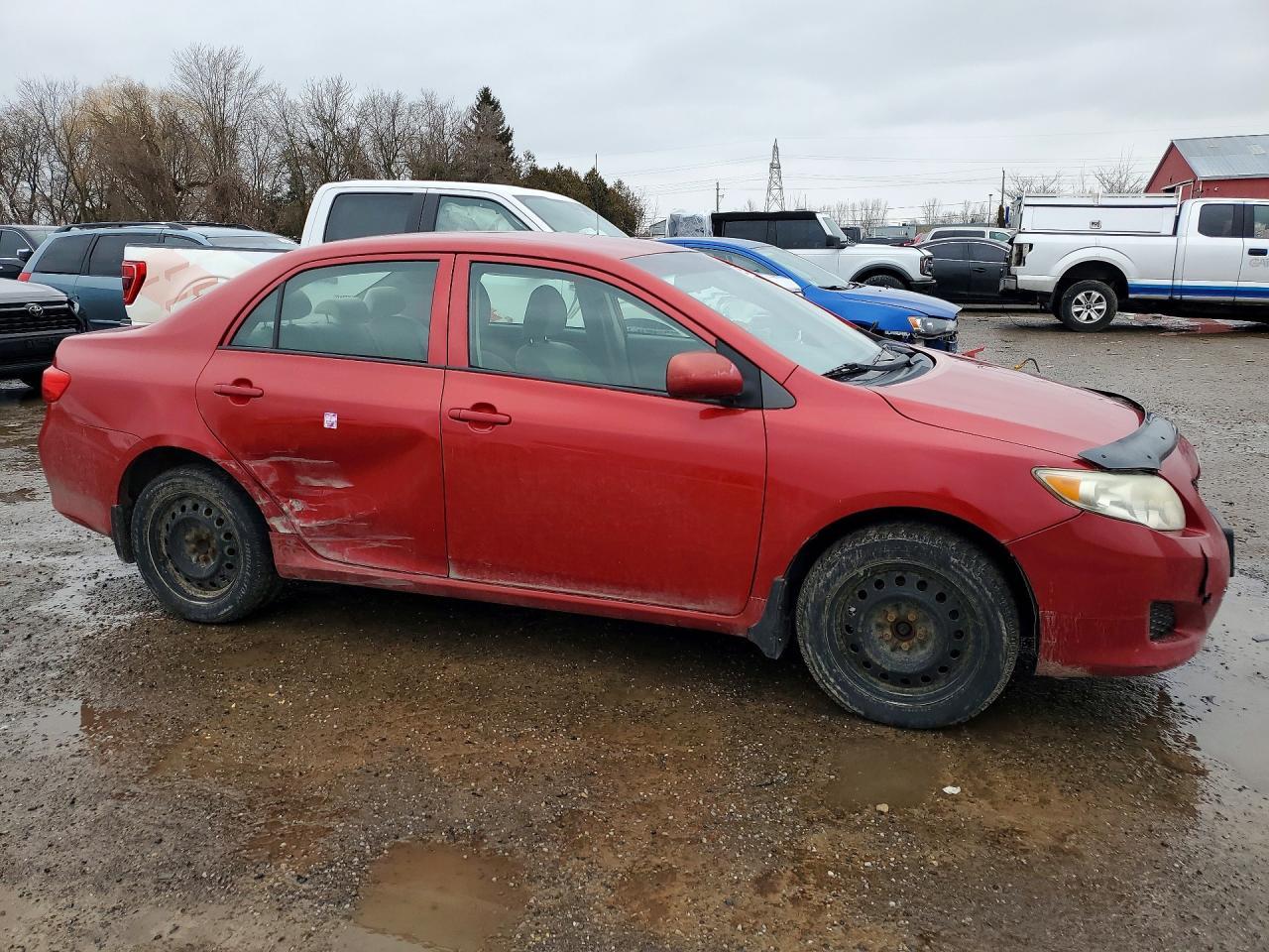 2010 TOYOTA COROLLA