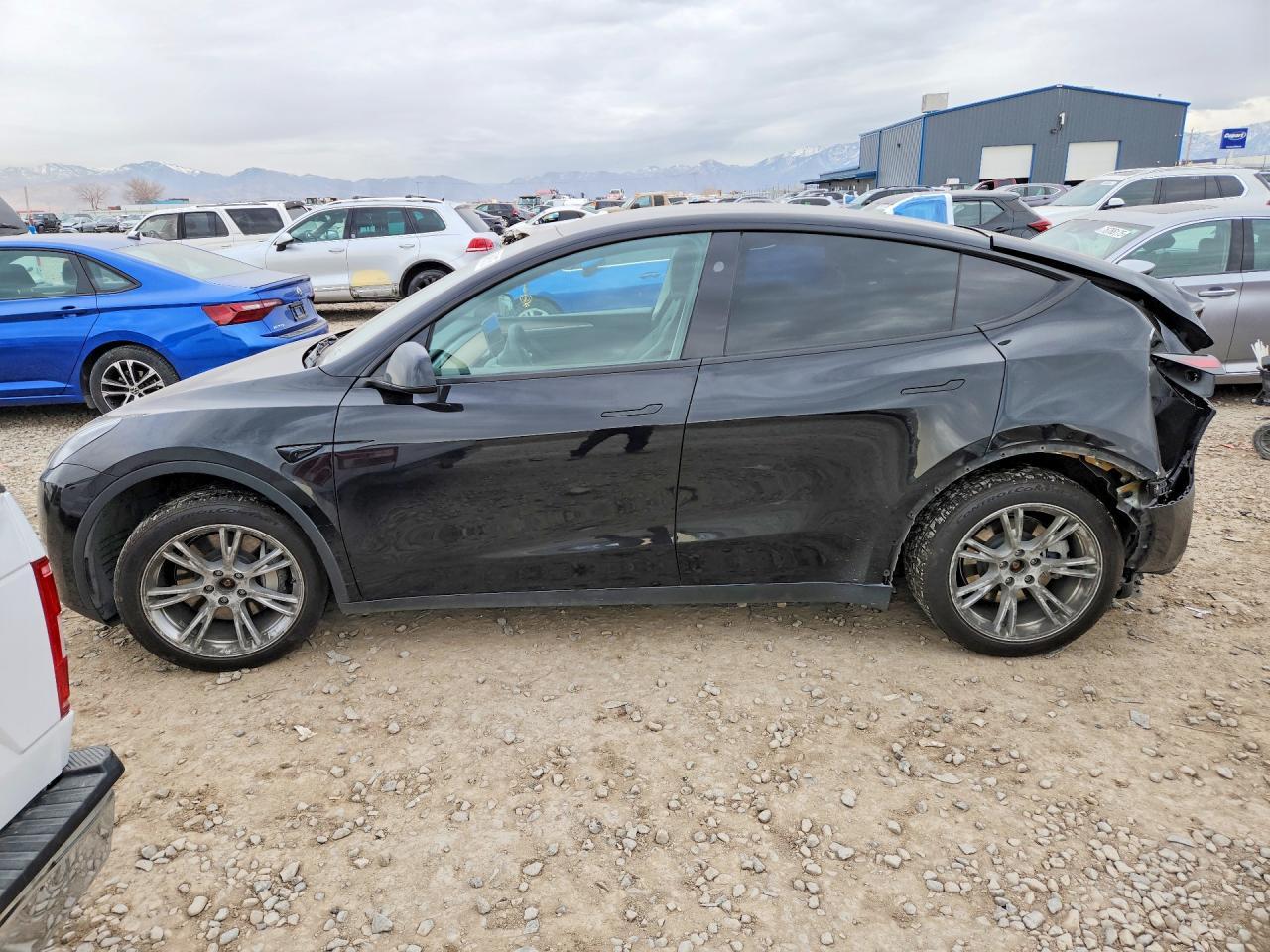 2024 TESLA MODEL Y