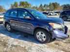 2010 HONDA CR-V