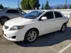2009 TOYOTA COROLLA
