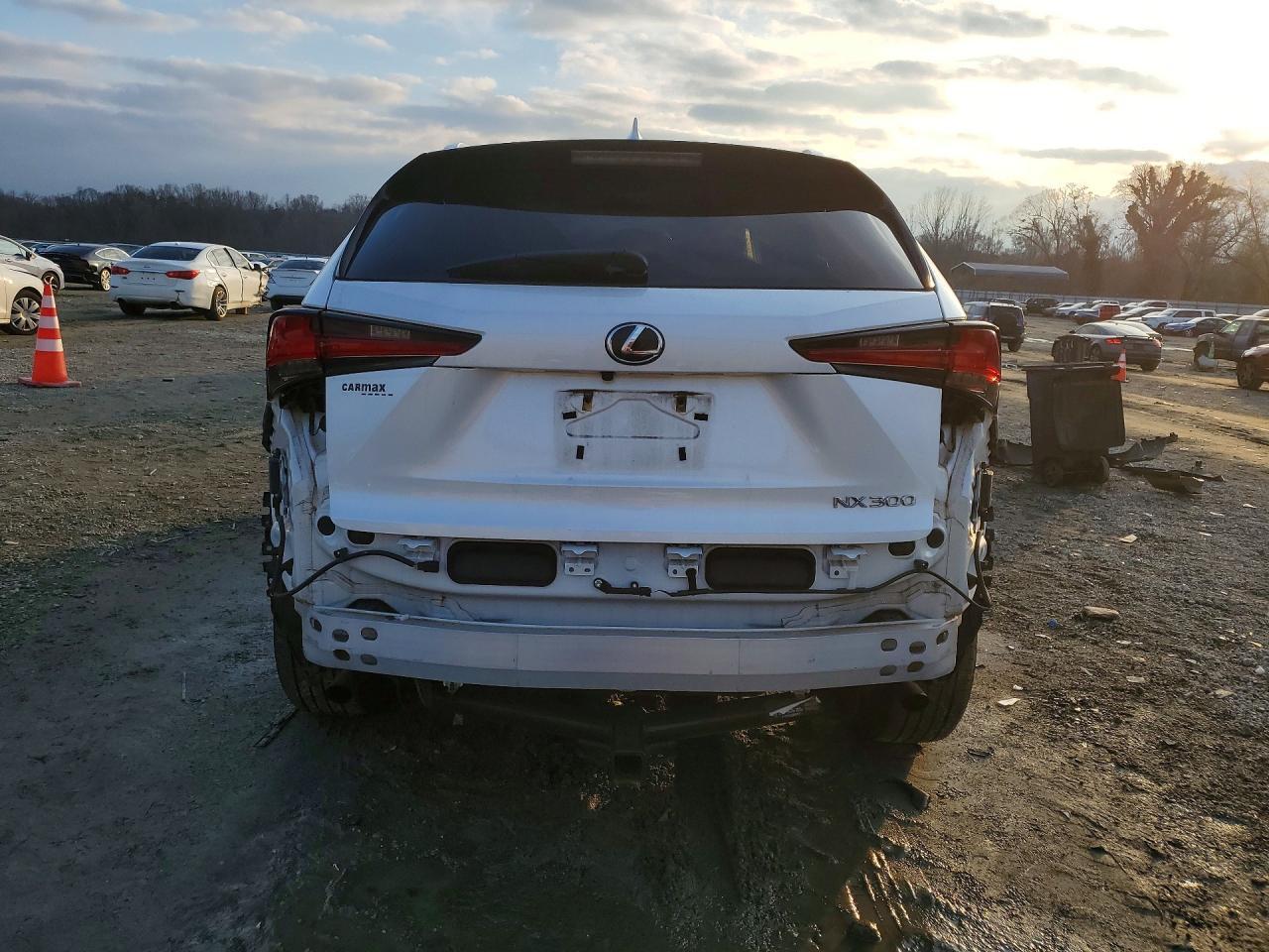 2019 LEXUS NX 300