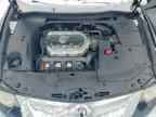 2010 ACURA TSX