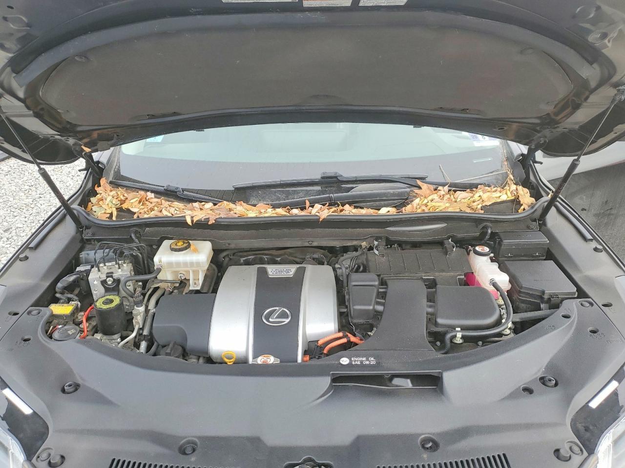 2019 LEXUS RX 450H