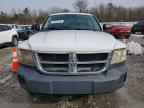 2008 DODGE Dakota