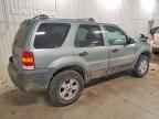 2006 FORD ESCAPE
