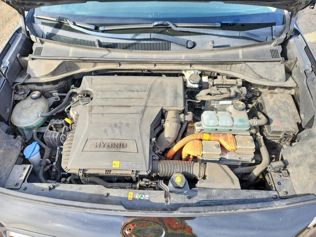 2019 KIA Niro