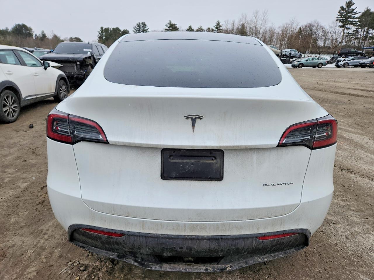 2025 TESLA MODEL Y