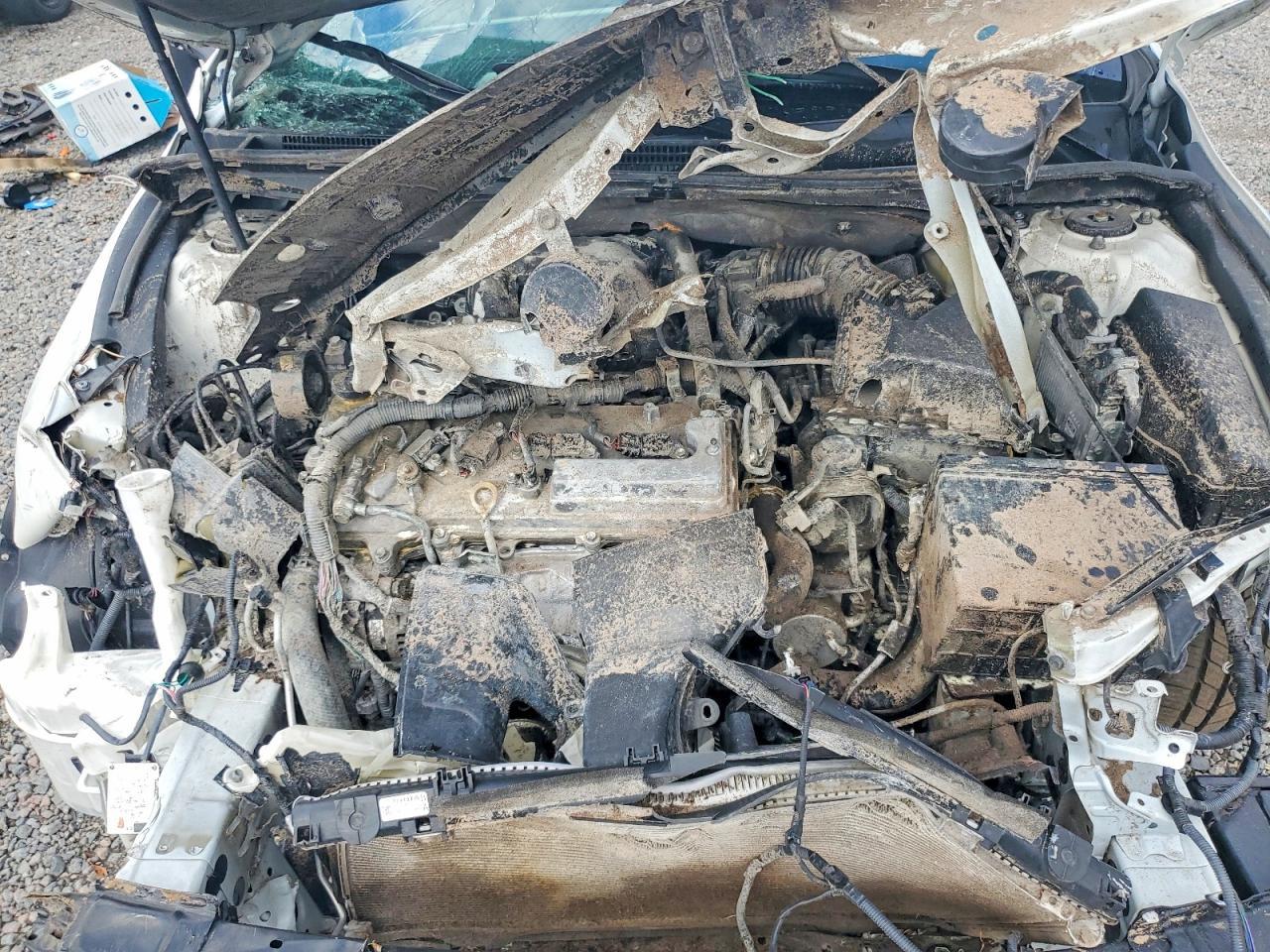 2016 TOYOTA Avalon