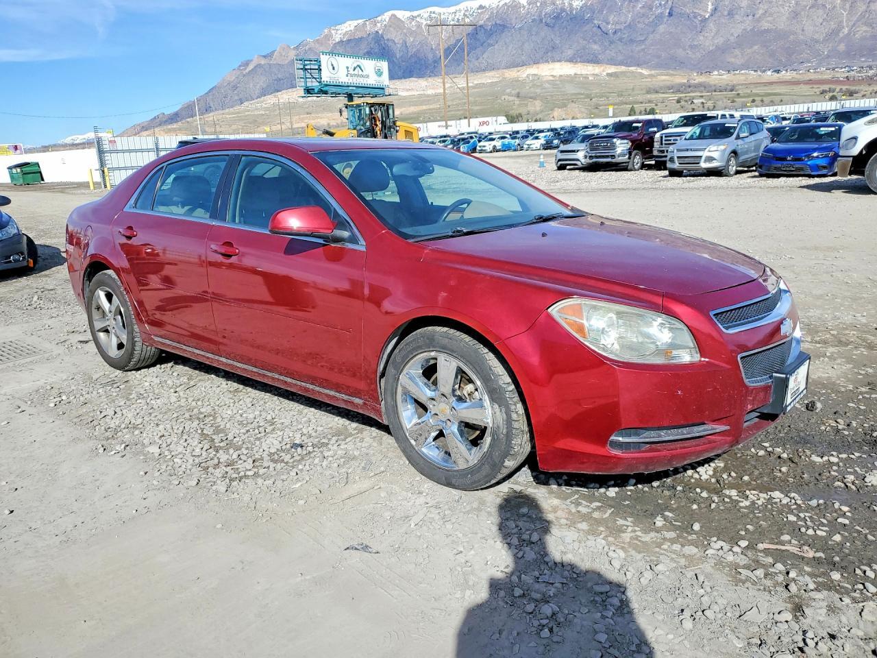 2010 CHEVROLET MALIBU