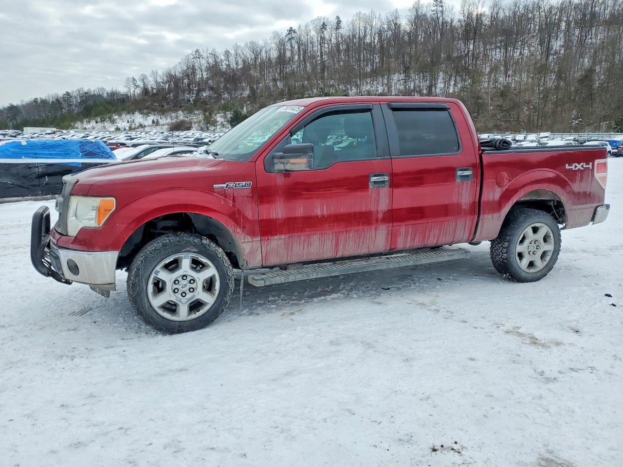 2013 FORD F-150