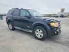 2008 FORD ESCAPE