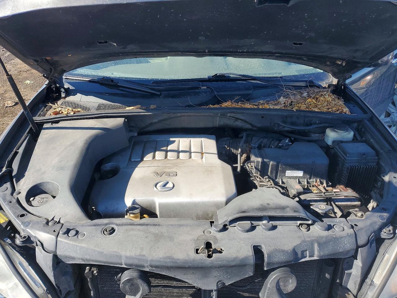 2009 LEXUS RX 350