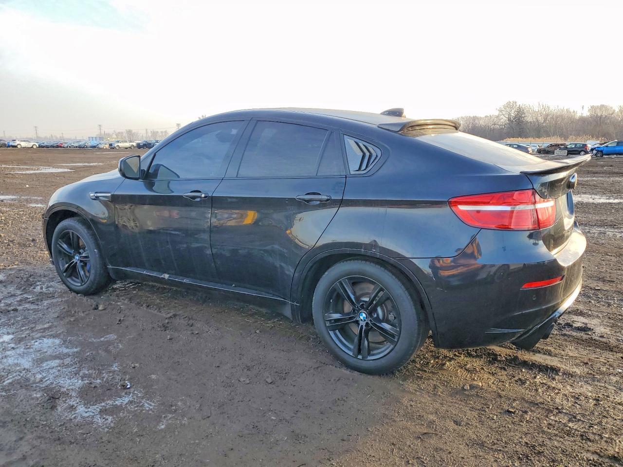 2014 BMW X6