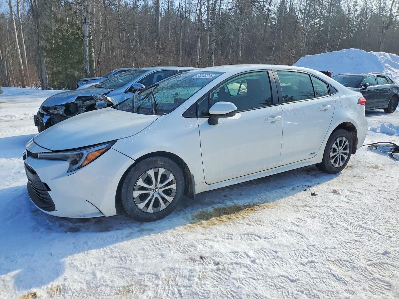 2024 TOYOTA COROLLA